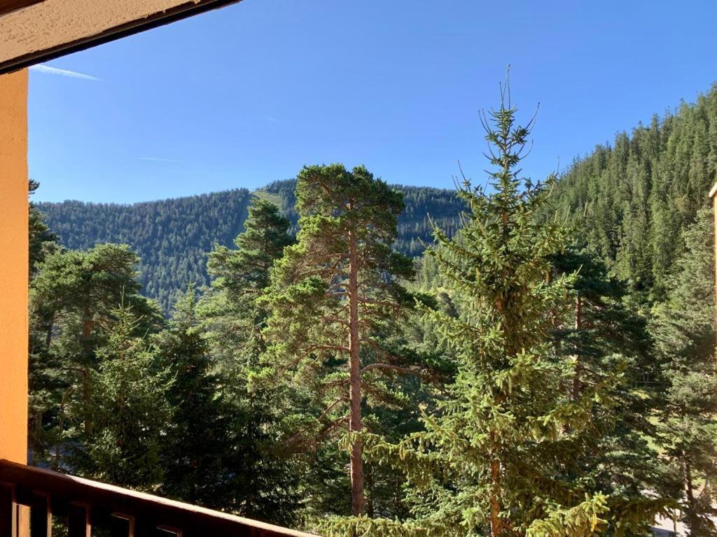 Appartement 3 Pieces Au Pied Des Pistes De La Colmiane Valdeblore Eksteriør bilde